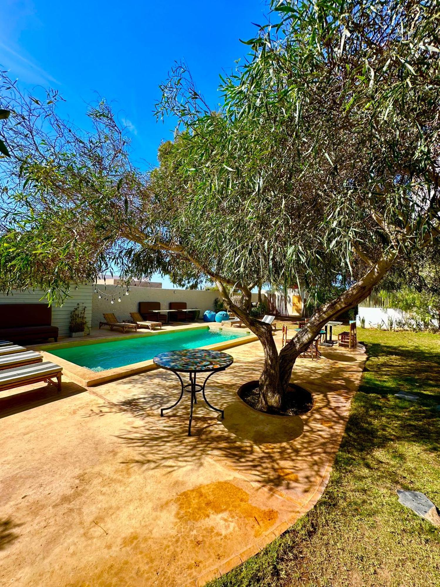 Villa Nour エッサウィラ エクステリア 写真